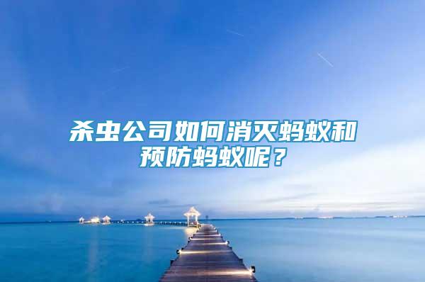 殺蟲公司如何消滅螞蟻和預(yù)防螞蟻呢？