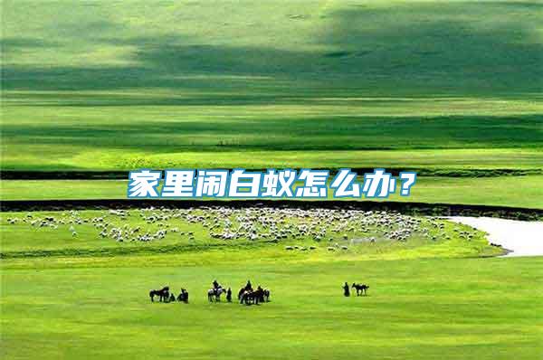 家里鬧白蟻怎么辦？