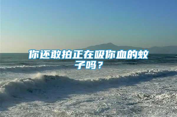 你還敢拍正在吸你血的蚊子嗎？