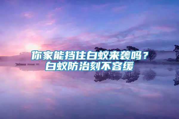 你家能擋住白蟻來襲嗎？白蟻防治刻不容緩