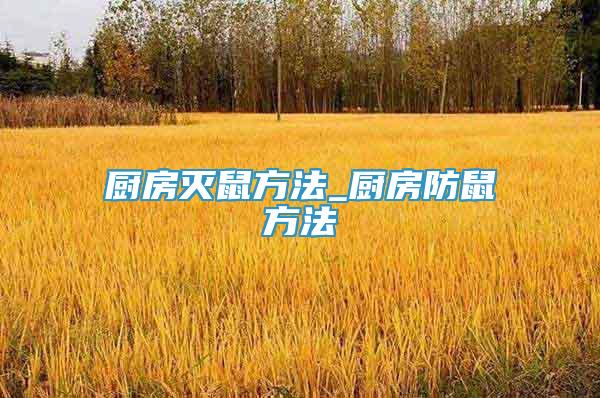 廚房滅鼠方法_廚房防鼠方法