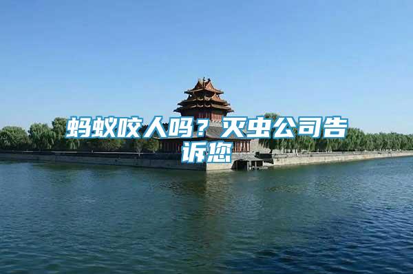 螞蟻咬人嗎？滅蟲公司告訴您