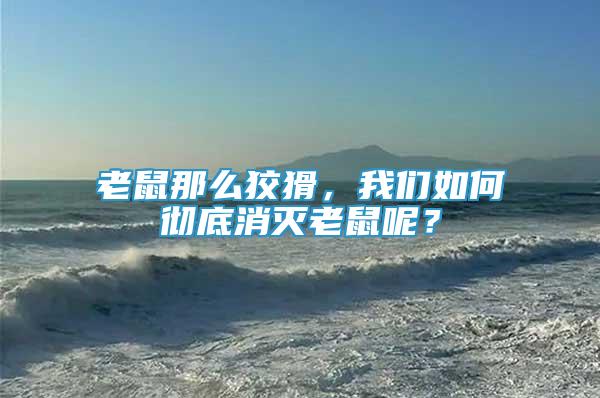 老鼠那么狡猾，我們?nèi)绾螐氐紫麥缋鲜竽兀?/></p>
             <p style=