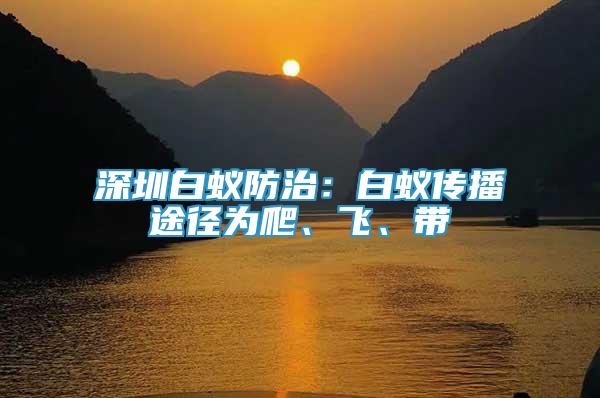 深圳白蟻防治：白蟻傳播途徑為爬、飛、帶