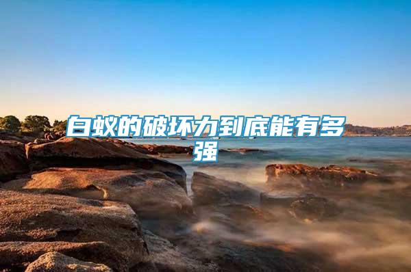 白蟻的破壞力到底能有多強(qiáng)