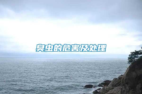 臭蟲的危害及處理