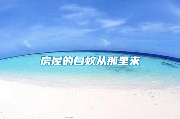 房屋的白蟻從那里來