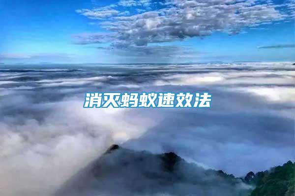 消滅螞蟻速效法