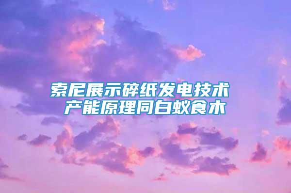 索尼展示碎紙發(fā)電技術(shù) 產(chǎn)能原理同白蟻食木