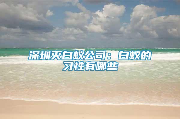 深圳滅白蟻公司：白蟻的習性有哪些