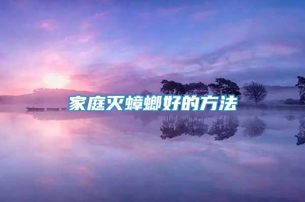 家庭滅蟑螂好的方法