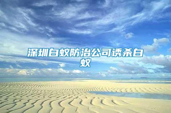 深圳白蟻防治公司誘殺白蟻