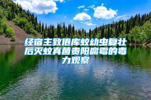 經(jīng)宿主致倦庫(kù)蚊幼蟲(chóng)復(fù)壯后滅蚊真菌貴陽(yáng)腐霉的毒力觀察