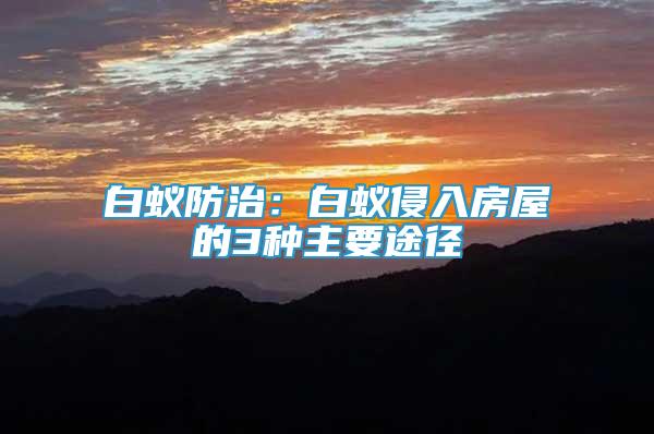 白蟻防治：白蟻侵入房屋的3種主要途徑