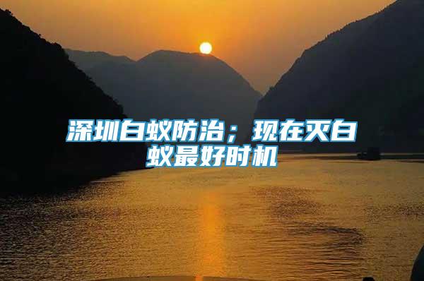 深圳白蟻防治；現(xiàn)在滅白蟻?zhàn)詈脮r機(jī)