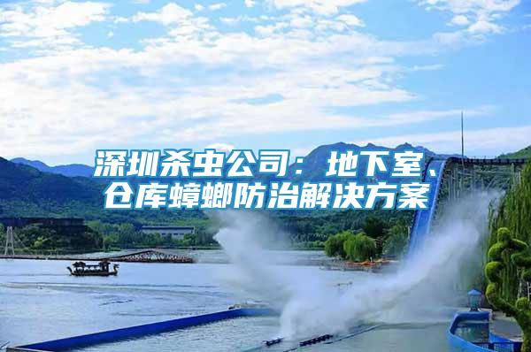 深圳殺蟲公司：地下室、倉庫蟑螂防治解決方案