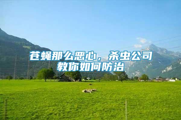 蒼蠅那么惡心，殺蟲公司教你如何防治