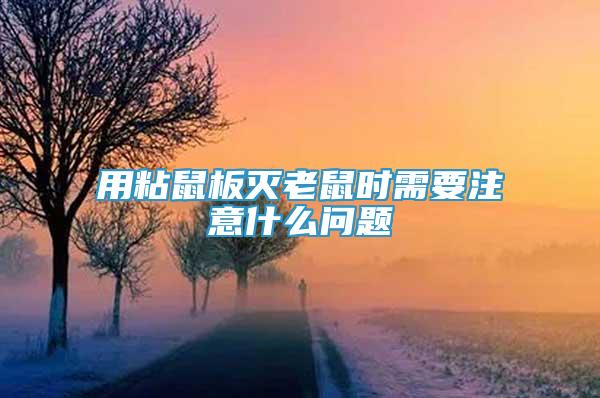 用粘鼠板滅老鼠時需要注意什么問題