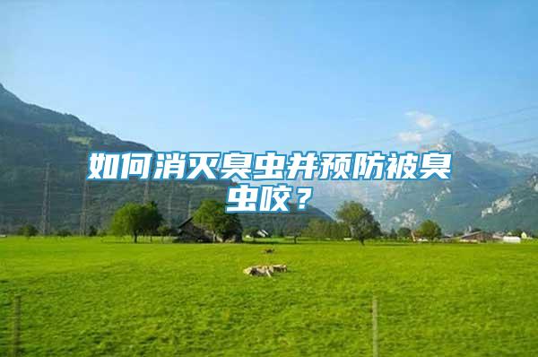 如何消滅臭蟲并預防被臭蟲咬？