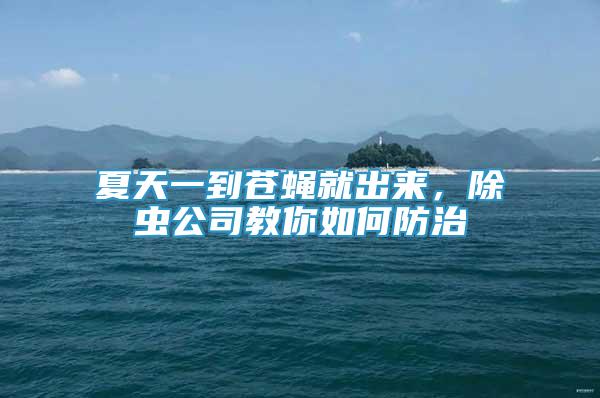夏天一到蒼蠅就出來，除蟲公司教你如何防治
