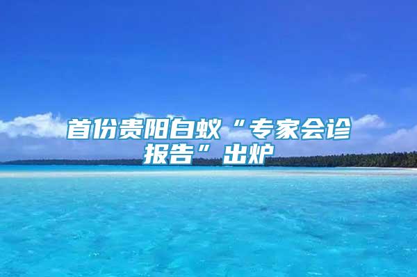 首份貴陽(yáng)白蟻“專家會(huì)診報(bào)告”出爐