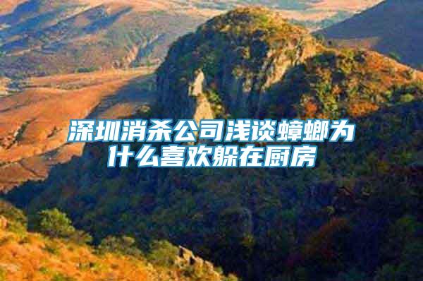 深圳消殺公司淺談蟑螂為什么喜歡躲在廚房