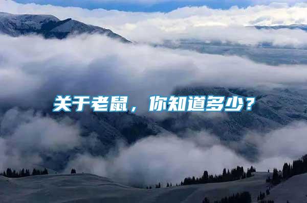 關(guān)于老鼠，你知道多少？