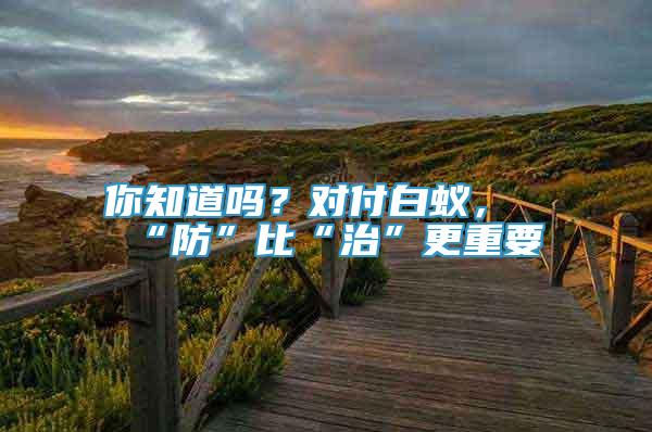 你知道嗎？對付白蟻，“防”比“治”更重要