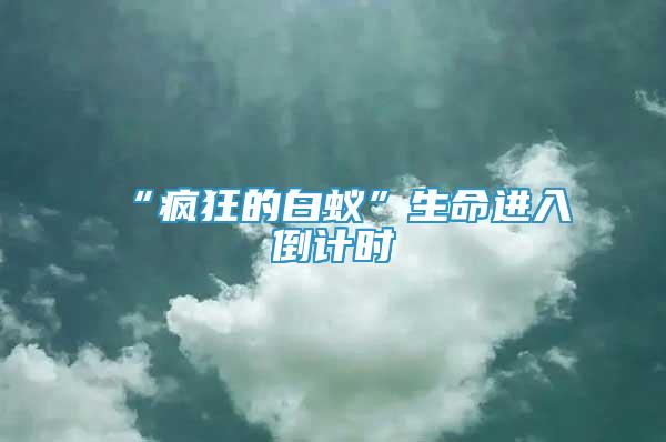 “瘋狂的白蟻”生命進(jìn)入倒計時