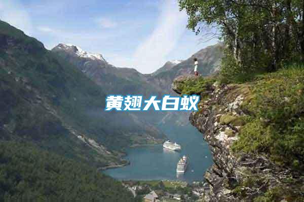 黃翅大白蟻