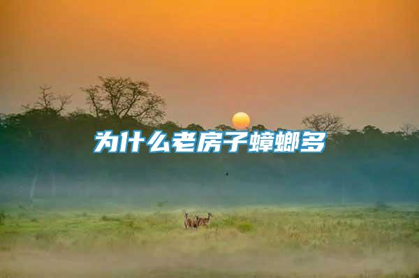 為什么老房子蟑螂多