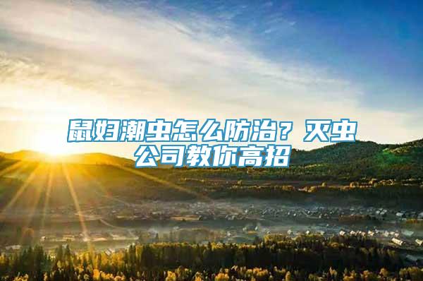 鼠婦潮蟲怎么防治？滅蟲公司教你高招