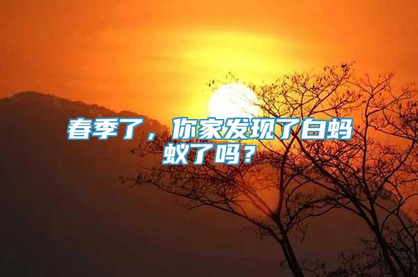 春季了，你家發(fā)現(xiàn)了白螞蟻了嗎？