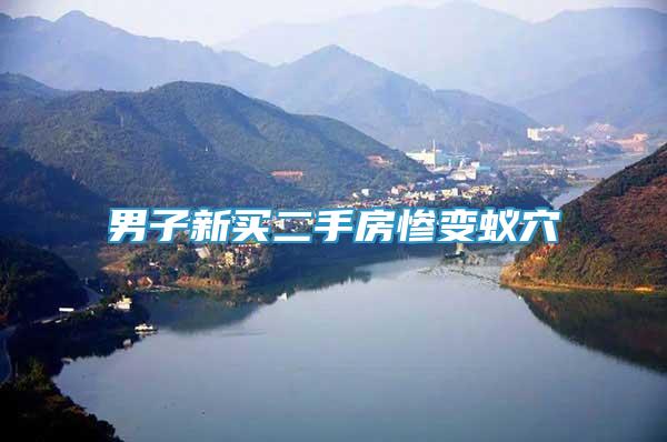 男子新買(mǎi)二手房慘變蟻穴