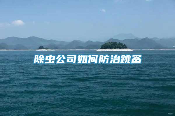 除蟲公司如何防治跳蚤