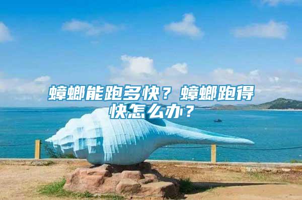 蟑螂能跑多快？蟑螂跑得快怎么辦？