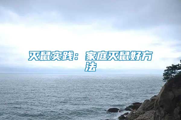 滅鼠實踐：家庭滅鼠好方法