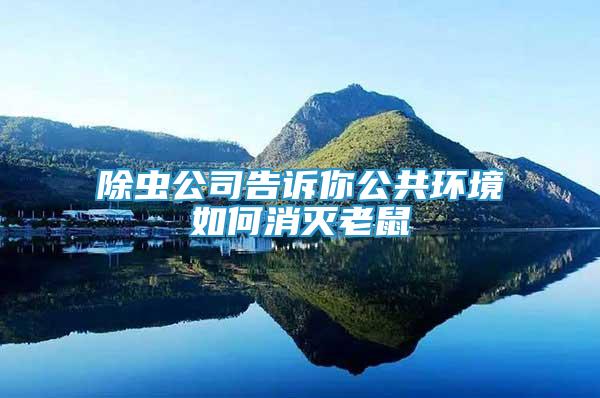 除蟲(chóng)公司告訴你公共環(huán)境如何消滅老鼠
