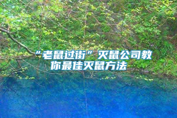 “老鼠過街”滅鼠公司教你最佳滅鼠方法