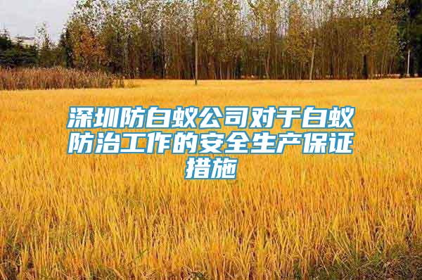 深圳防白蟻公司對(duì)于白蟻防治工作的安全生產(chǎn)保證措施