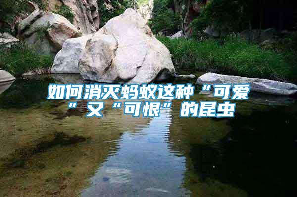 如何消滅螞蟻這種“可愛”又“可恨”的昆蟲