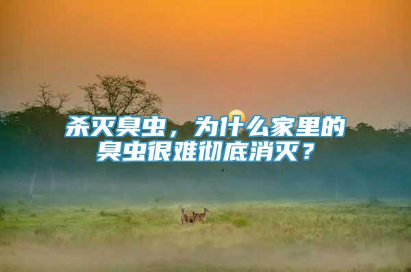 殺滅臭蟲，為什么家里的臭蟲很難徹底消滅？