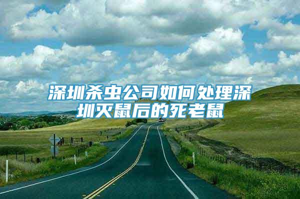 深圳殺蟲公司如何處理深圳滅鼠后的死老鼠