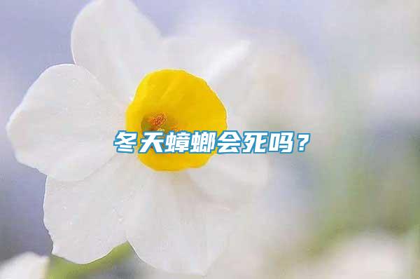 冬天蟑螂會(huì)死嗎？