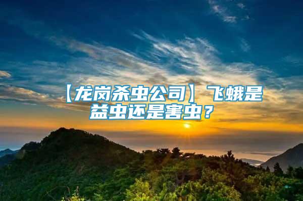 【龍崗殺蟲(chóng)公司】飛蛾是益蟲(chóng)還是害蟲(chóng)？