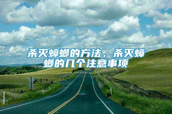 殺滅蟑螂的方法，殺滅蟑螂的幾個注意事項