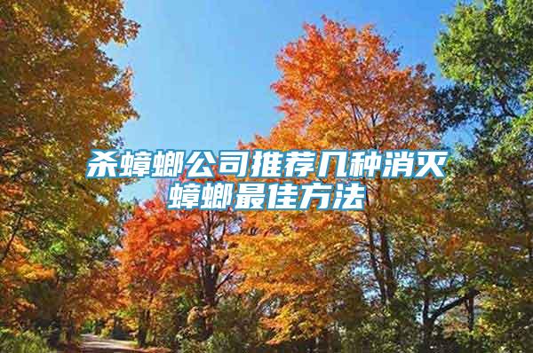 殺蟑螂公司推薦幾種消滅蟑螂最佳方法