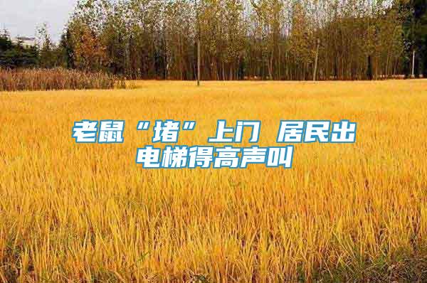 老鼠“堵”上門 居民出電梯得高聲叫