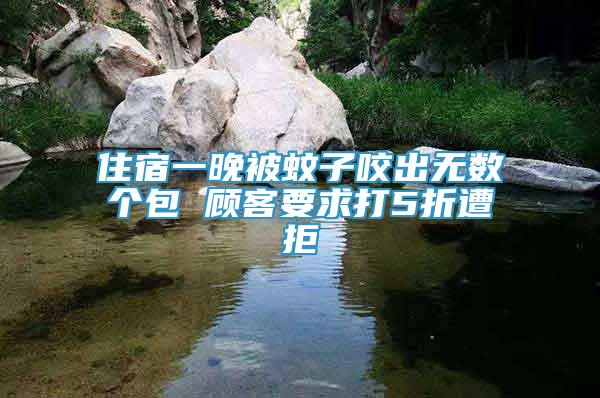 住宿一晚被蚊子咬出無數(shù)個包 顧客要求打5折遭拒