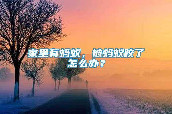 家里有螞蟻，被螞蟻咬了怎么辦？